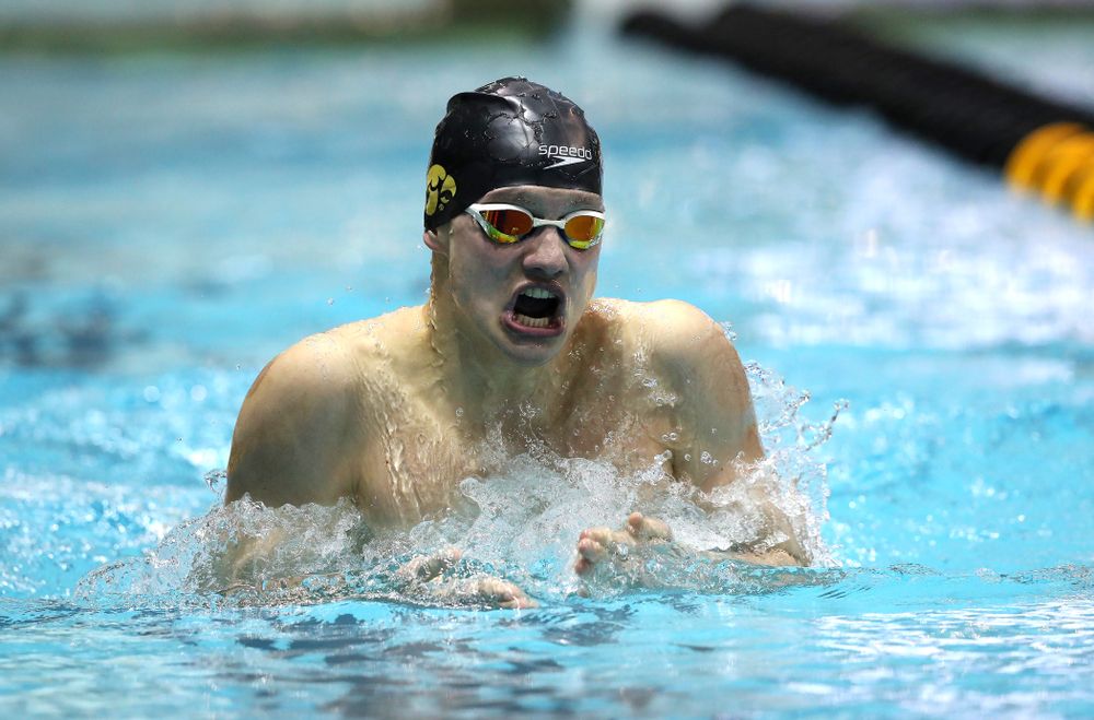 Iowa's Anze Fers Erzen swims the 200-yard IM during the bonus final of the second day at the 2019 Big Ten Swimming and Diving Championships Thursday, February 28, 2019 at the Campus Wellness and Recreation Center. (Brian Ray/hawkeyesports.com)