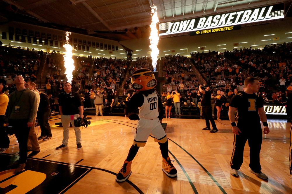 Herky The Hawk against the Maryland Terrapins Friday, January 10, 2020 at Carver-Hawkeye Arena. (Brian Ray/hawkeyesports.com)
