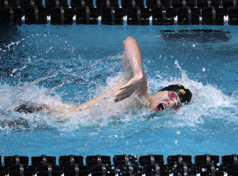 Iowa's Andrew Fierke swims in the preliminaries of the 500-yard freestyle during the 2019 Big Ten Swimming and Diving Championships Thursday, February 28, 2019 at the Campus Wellness and Recreation Center. (Brian Ray/hawkeyesports.com)