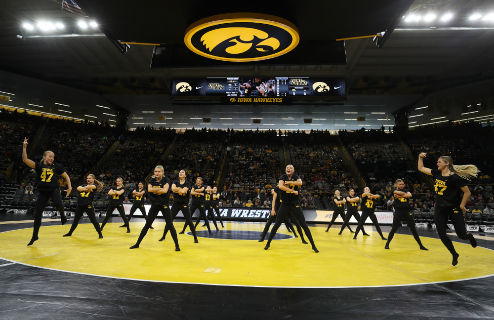 The Iowa Dance Team performs at the intermission of the Iowa Hawkeyes match against Purdue Saturday, November 24, 2018 at Carver-Hawkeye Arena. (Brian Ray/hawkeyesports.com)