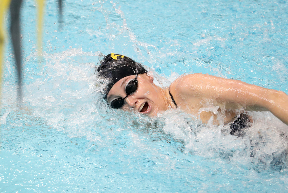 IowaÕs Samantha Sauer swims the freestyle leg of the 200 Medley Relay against Notre Dame and Illinois Saturday, January 11, 2020 at the Campus Recreation and Wellness Center. (Brian Ray/hawkeyesports.com)