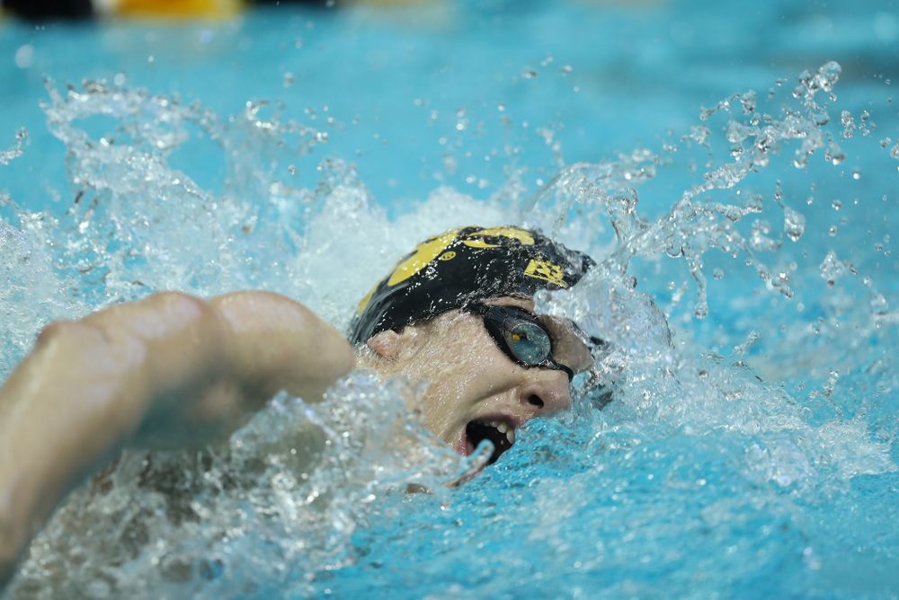 Iowa's Jackson Allmon swims the 500 yard freestyle Thursday, November 15, 2018 during the 2018 Hawkeye Invitational at the Campus Recreation and Wellness Center. (Brian Ray/hawkeyesports.com)