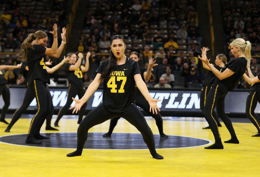 The Iowa Dance Team performs at the intermission of the Iowa Hawkeyes match against Purdue Saturday, November 24, 2018 at Carver-Hawkeye Arena. (Brian Ray/hawkeyesports.com)