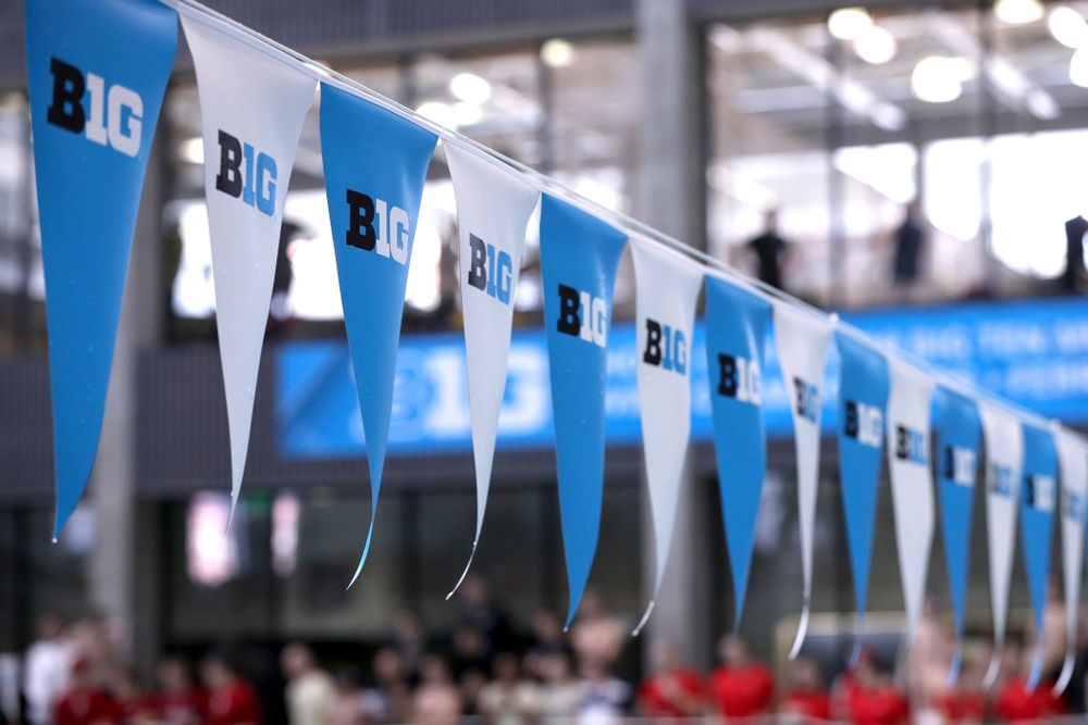 Iowa's Joseph Myhre competes in the 100-yard freestyle during the 2019 Big Ten Men's Swimming and Diving Championships Saturday, March 2, 2019 at the Campus Wellness and Recreation Center. (Brian Ray/hawkeyesports.com)