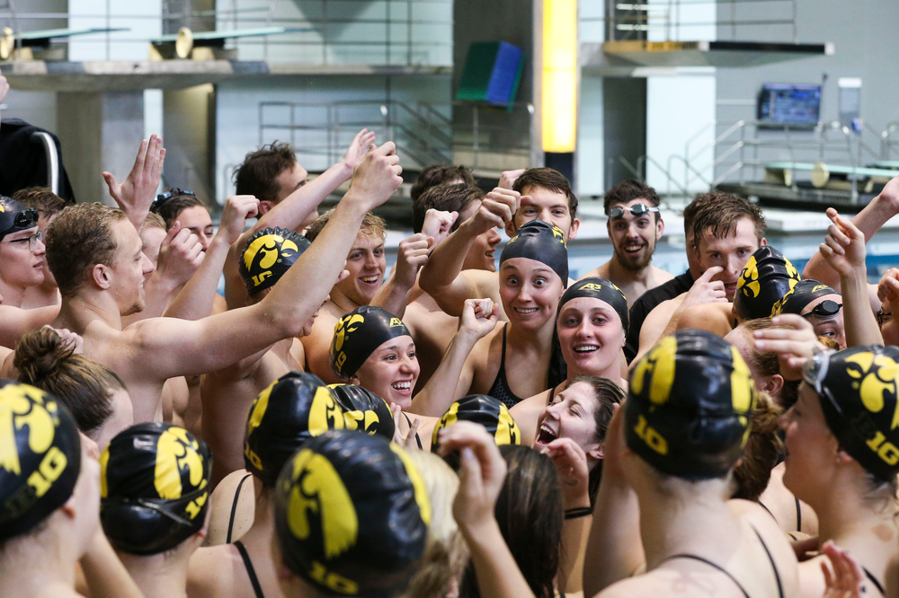 The Iowa Hawkeyes during Iowa swim and dive vs Minnesota on Saturday, October 26, 2019 at the Campus Wellness and Recreation Center. (Lily Smith/hawkeyesports.com)