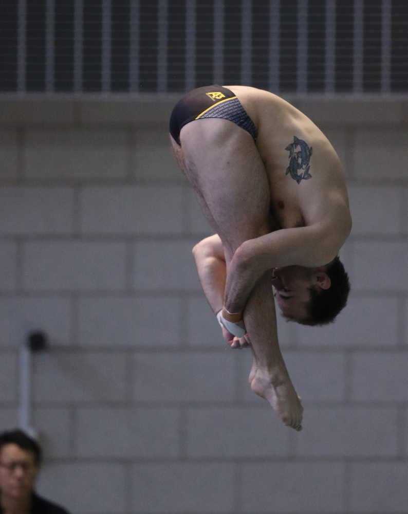 Iowa's Anton Hoherz competes on the 3-meter springboard during the third day of the 2019 Big Ten Swimming and Diving Championships Thursday, February 28, 2019 at the Campus Wellness and Recreation Center. (Brian Ray/hawkeyesports.com)