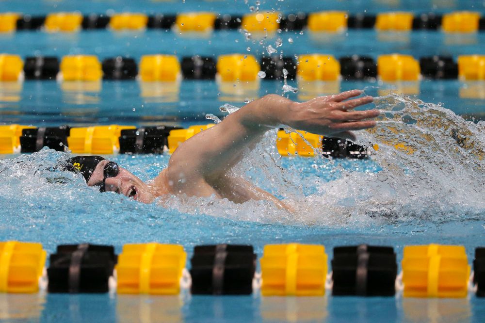 Iowa's B team at the 1,650-yard freestyle race Saturday, March 2, 2019 at the Campus Recreation and Wellness Center. (Lily Smith/hawkeyesports.com)