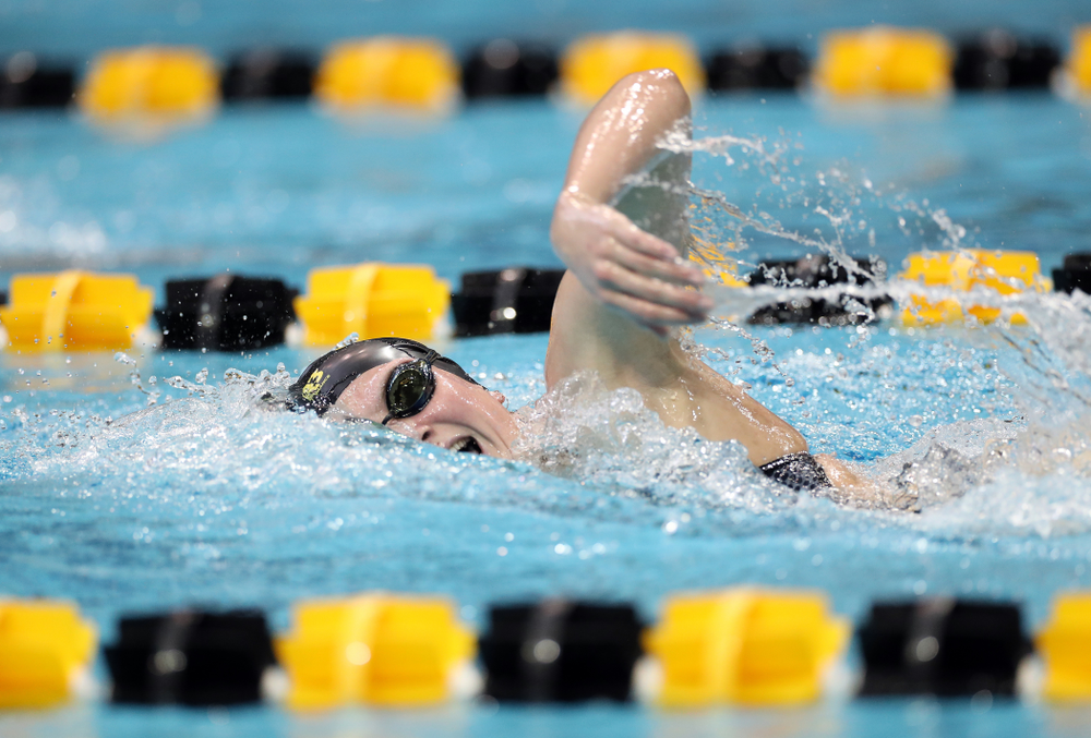 IowaÕs Anna Brooker swims the 1,000 yard freestyle agains the Michigan Wolverines Friday, November 1, 2019 at the Campus Recreation and Wellness Center. (Brian Ray/hawkeyesports.com)