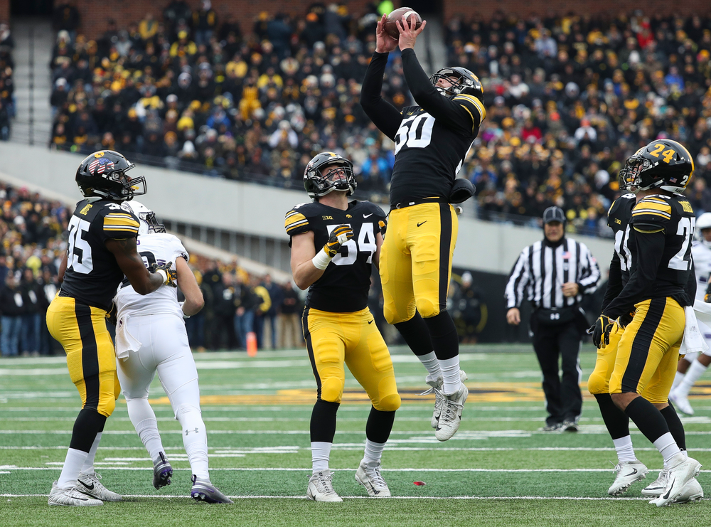 Iowa Hawkeyes long snapper Jackson Subbert (50) downs a punt during a game against Northwestern at Kinnick Stadium on November 10, 2018. (Tork Mason/hawkeyesports.com)
