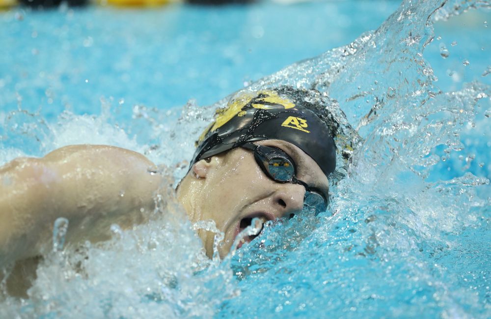 Iowa's Jackson Allmon swims the 500 yard freestyle Thursday, November 15, 2018 during the 2018 Hawkeye Invitational at the Campus Recreation and Wellness Center. (Brian Ray/hawkeyesports.com)
