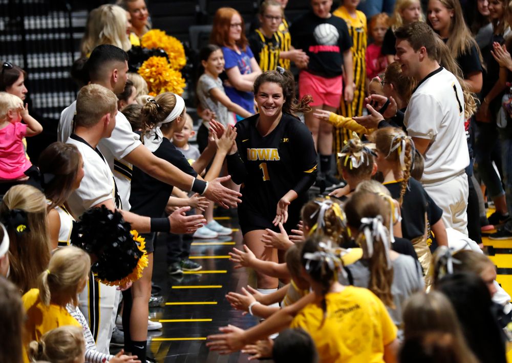 Iowa Hawkeyes defensive specialist Molly Kelly (1) against the Michigan Wolverines Sunday, September 23, 2018 at Carver-Hawkeye Arena. (Brian Ray/hawkeyesports.com)