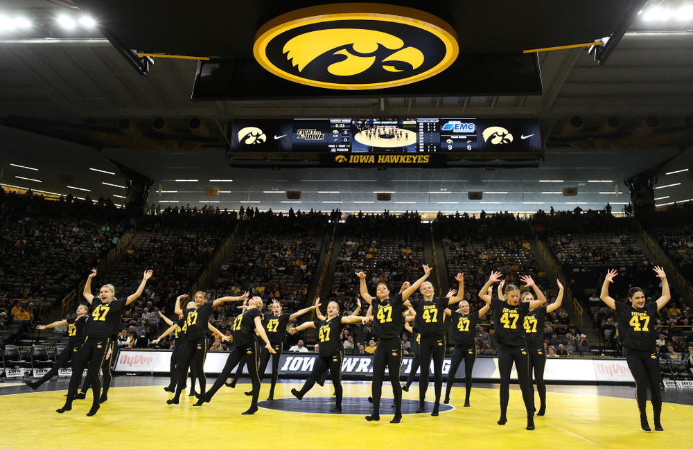 The Iowa Dance Team performs at the intermission of the Iowa Hawkeyes match against Purdue Saturday, November 24, 2018 at Carver-Hawkeye Arena. (Brian Ray/hawkeyesports.com)