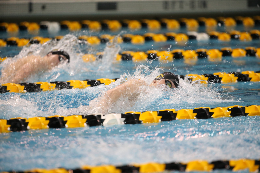 Iowa's Aleksey Tarasenko at the 200-yard freestyle race Friday, March 1, 2019 at the Campus Recreation and Wellness Center. (Lily Smith/hawkeyesports.com)