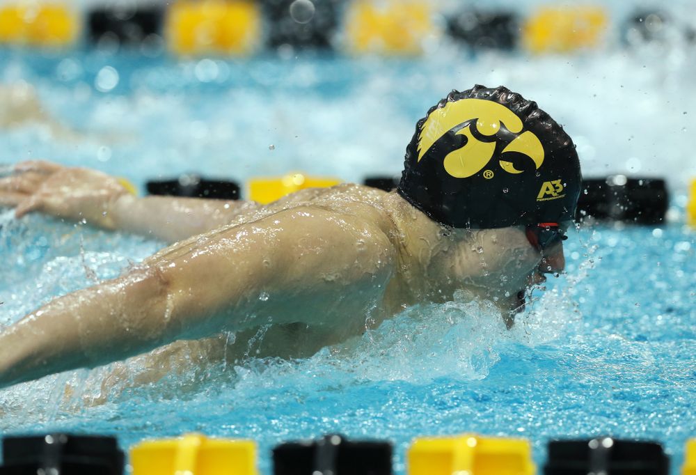 Iowa's Anze Fers Erzen swims the 200 yard Individual Medley Thursday, November 15, 2018 during the 2018 Hawkeye Invitational at the Campus Recreation and Wellness Center. (Brian Ray/hawkeyesports.com)