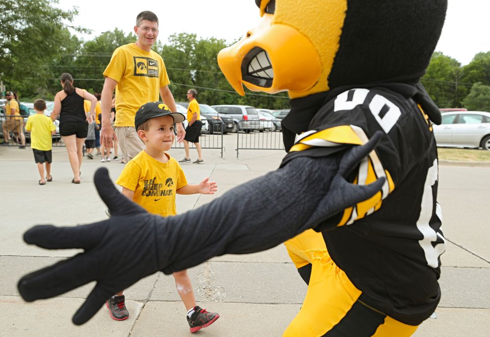 A young fan greets Herky during Kids Day at Kinnick Stadium in Iowa City on Saturday, Aug 10, 2019. (Stephen Mally/hawkeyesports.com)
