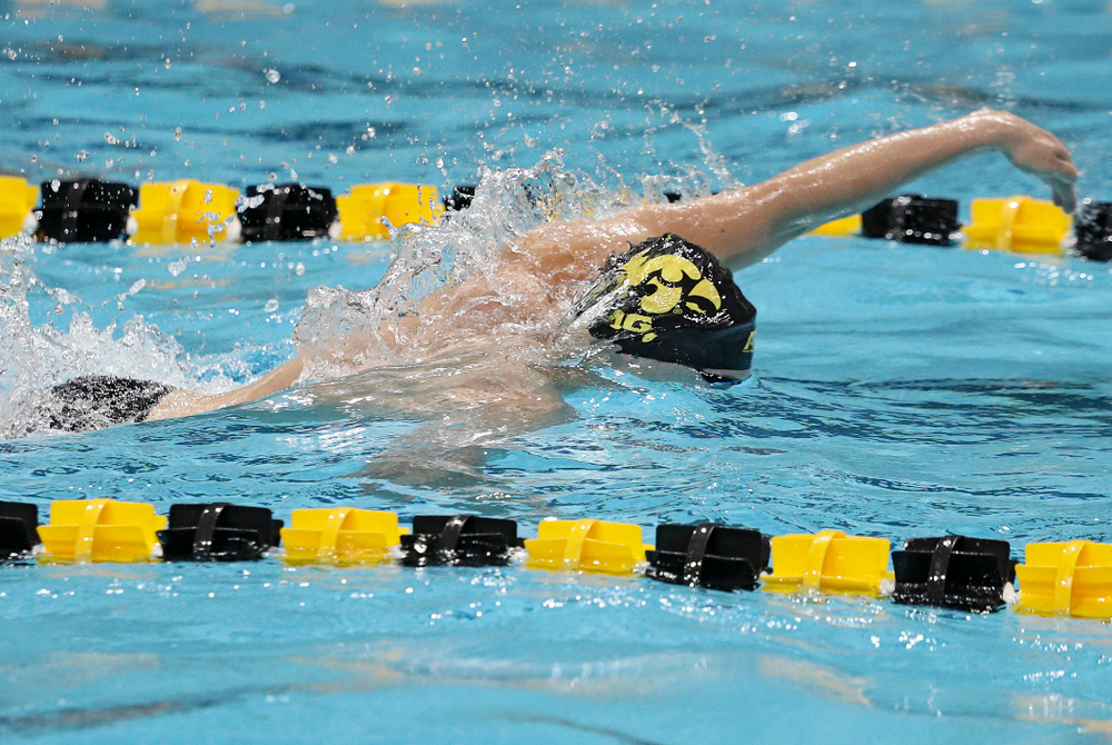 Iowa’s Jackson Allmon swims his section of the men’s 200-yard freestyle relay event during their meet against Michigan State at the Campus Recreation and Wellness Center in Iowa City on Thursday, Oct 3, 2019. (Stephen Mally/hawkeyesports.com)