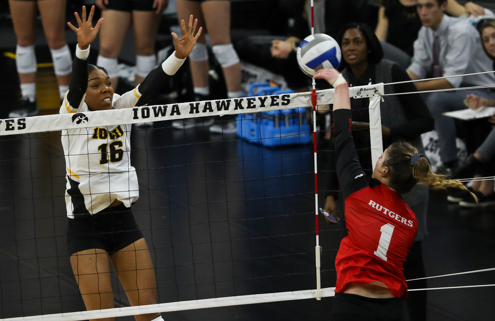 Iowa Hawkeyes outside hitter Taylor Louis (16) goes up for a block during a match against Rutgers at Carver-Hawkeye Arena on November 2, 2018. (Tork Mason/hawkeyesports.com)
