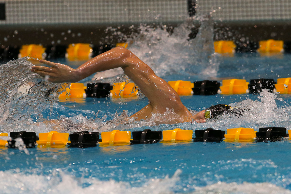 Iowa’s Andrew Fierke during Iowa swim and dive vs Minnesota on Saturday, October 26, 2019 at the Campus Wellness and Recreation Center. (Lily Smith/hawkeyesports.com)