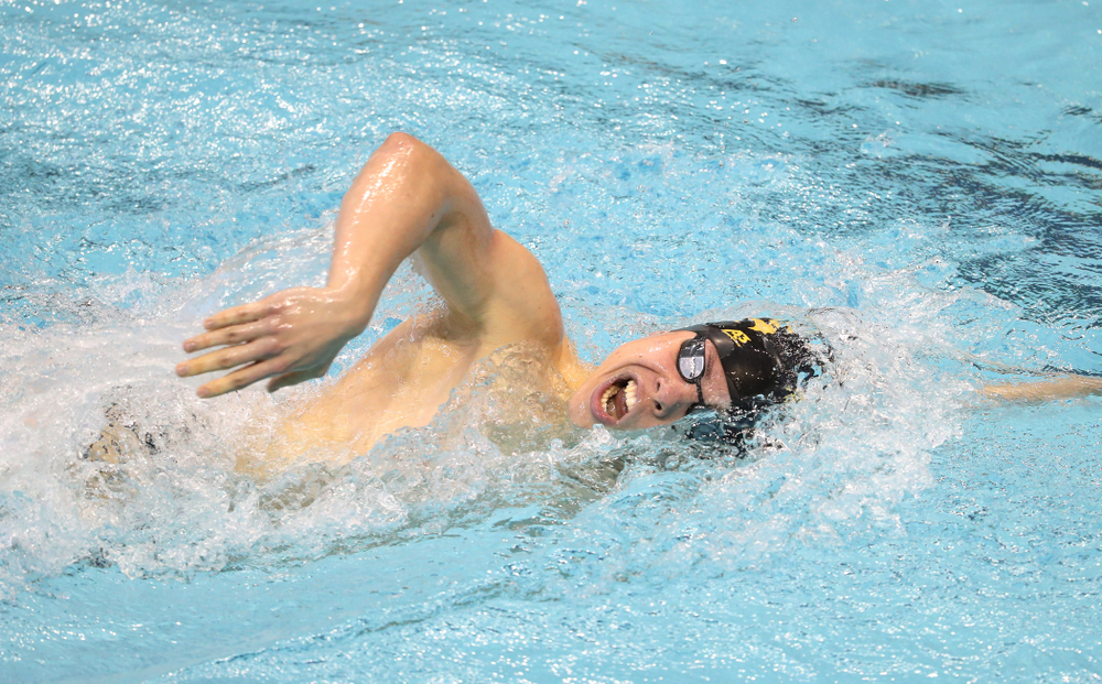 Iowa's Mateusz Arndt swims the 1000 yard freestyle during a double dual against Wisconsin and Northwestern Saturday, January 19, 2019 at the Campus Recreation and Wellness Center. (Brian Ray/hawkeyesports.com)