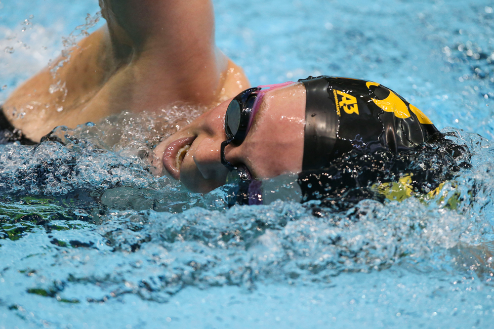 during Iowa swim and dive vs Minnesota on Saturday, October 26, 2019 at the Campus Wellness and Recreation Center. (Lily Smith/hawkeyesports.com)