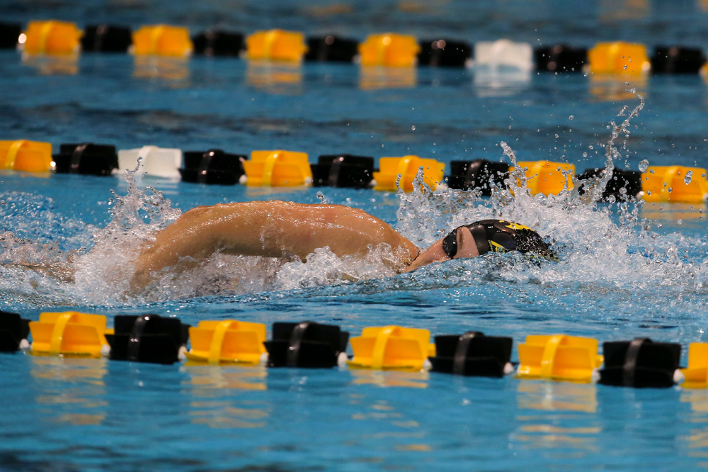 Iowa’s Emilia Sansome during Iowa swim and dive vs Minnesota on Saturday, October 26, 2019 at the Campus Wellness and Recreation Center. (Lily Smith/hawkeyesports.com)