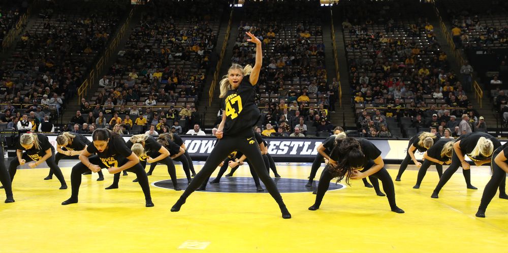 The Iowa Dance Team performs at the intermission of the Iowa Hawkeyes match against Purdue Saturday, November 24, 2018 at Carver-Hawkeye Arena. (Brian Ray/hawkeyesports.com)