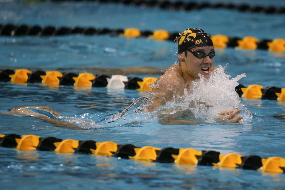 Iowa’s Daniel Swanepoel swims the 200-yard breaststroke during the Iowa swimming and diving meet vs Notre Dame and Illinois on Saturday, January 11, 2020 at the Campus Recreation and Wellness Center. (Lily Smith/hawkeyesports.com)