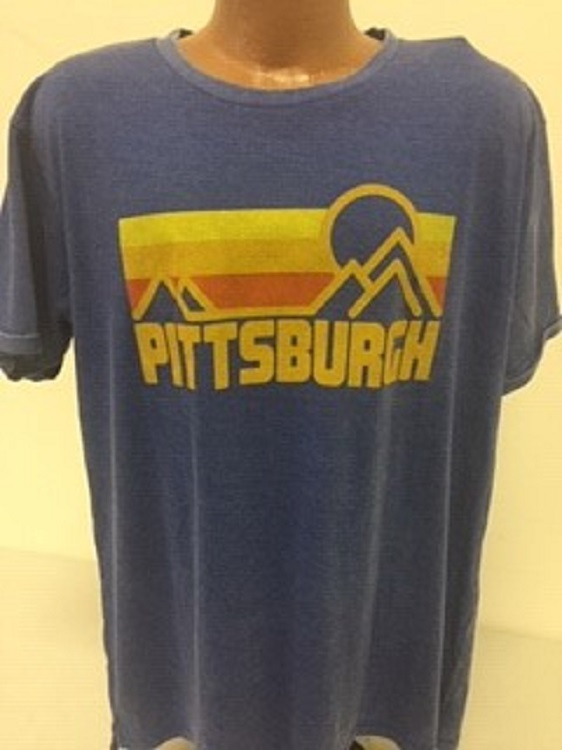 Pitt Panthers Pitt Skyline Short Sleeve Boyfriend T Shirt Pittsburgh Panthers