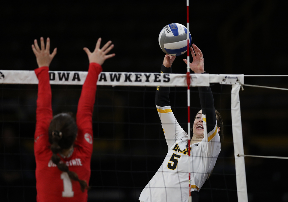 Iowa Hawkeyes outside hitter Meghan Buzzerio (5) against the Ohio State Buckeyes Saturday, November 24, 2018 at Carver-Hawkeye Arena. (Brian Ray/hawkeyesports.com)