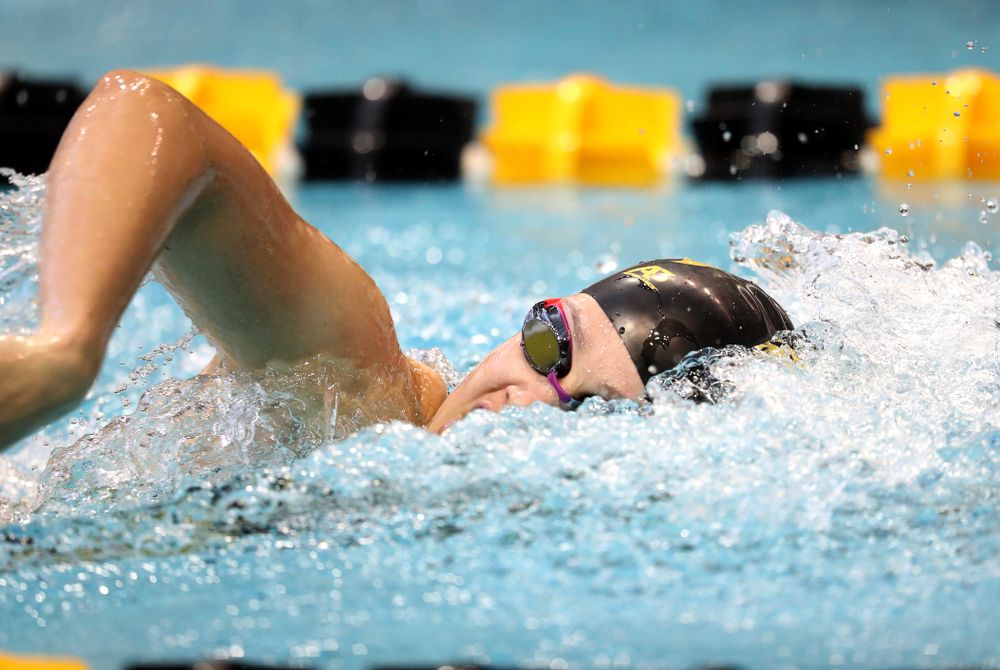 Iowa's Lauren McDougall swims the 200 yard freestyle during a double dual against Wisconsin and Northwestern Saturday, January 19, 2019 at the Campus Recreation and Wellness Center. (Brian Ray/hawkeyesports.com)