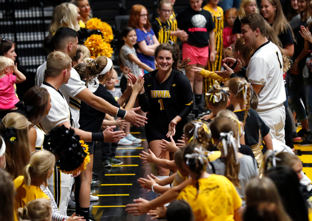 Iowa Hawkeyes defensive specialist Molly Kelly (1) against the Michigan Wolverines Sunday, September 23, 2018 at Carver-Hawkeye Arena. (Brian Ray/hawkeyesports.com)