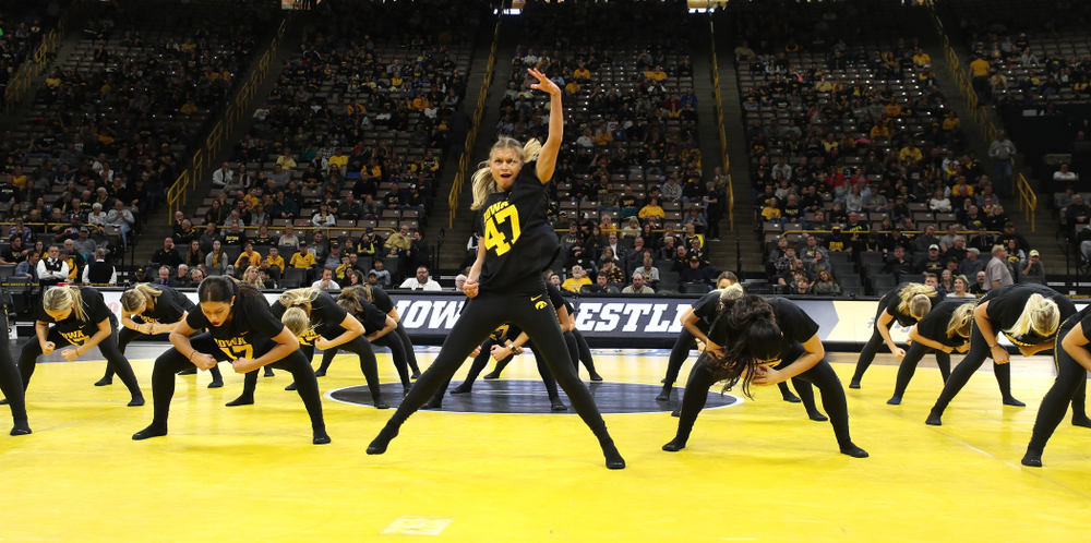 The Iowa Dance Team performs at the intermission of the Iowa Hawkeyes match against Purdue Saturday, November 24, 2018 at Carver-Hawkeye Arena. (Brian Ray/hawkeyesports.com)