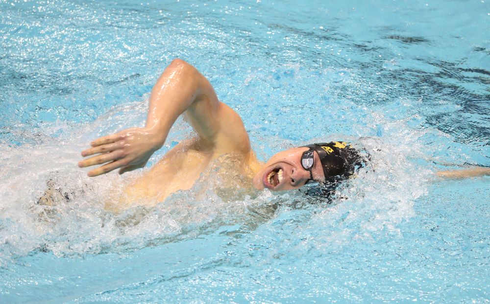 Iowa's Mateusz Arndt swims the 1000 yard freestyle during a double dual against Wisconsin and Northwestern Saturday, January 19, 2019 at the Campus Recreation and Wellness Center. (Brian Ray/hawkeyesports.com)