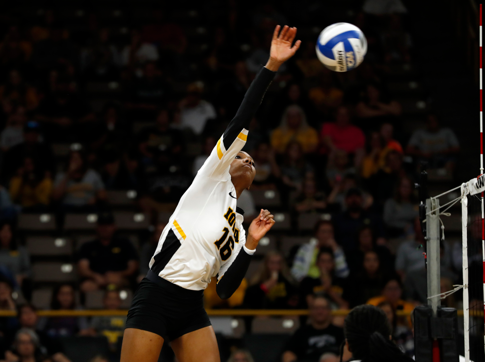 Iowa Hawkeyes outside hitter Taylor Louis (16) against the Michigan Wolverines Sunday, September 23, 2018 at Carver-Hawkeye Arena. (Brian Ray/hawkeyesports.com)
