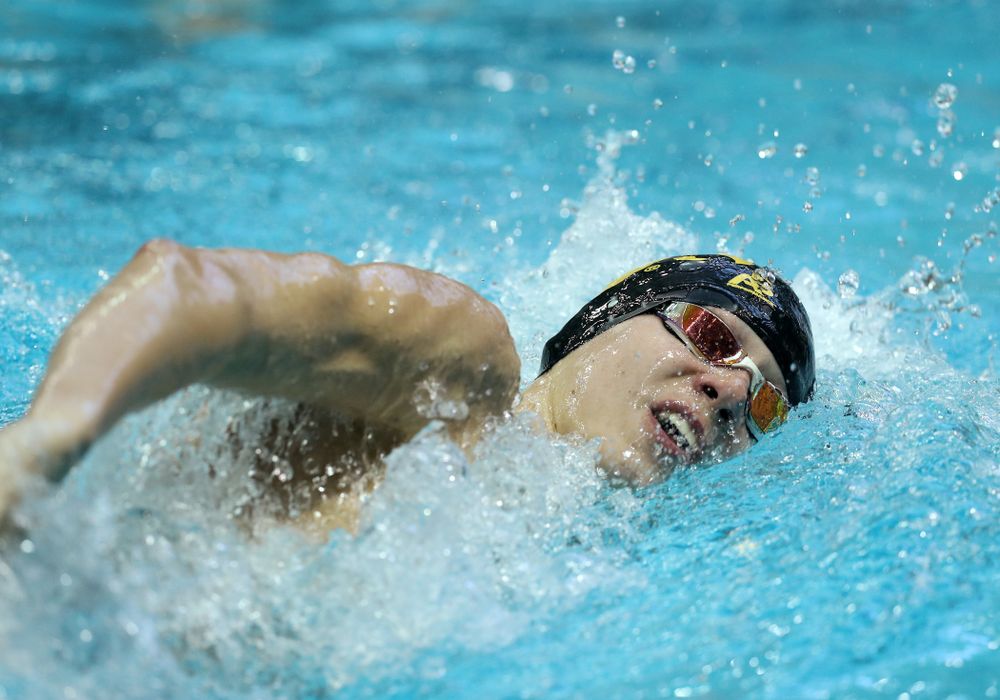 Iowa's Andrew Fierke swims the 500 yard freestyle Thursday, November 15, 2018 during the 2018 Hawkeye Invitational at the Campus Recreation and Wellness Center. (Brian Ray/hawkeyesports.com)