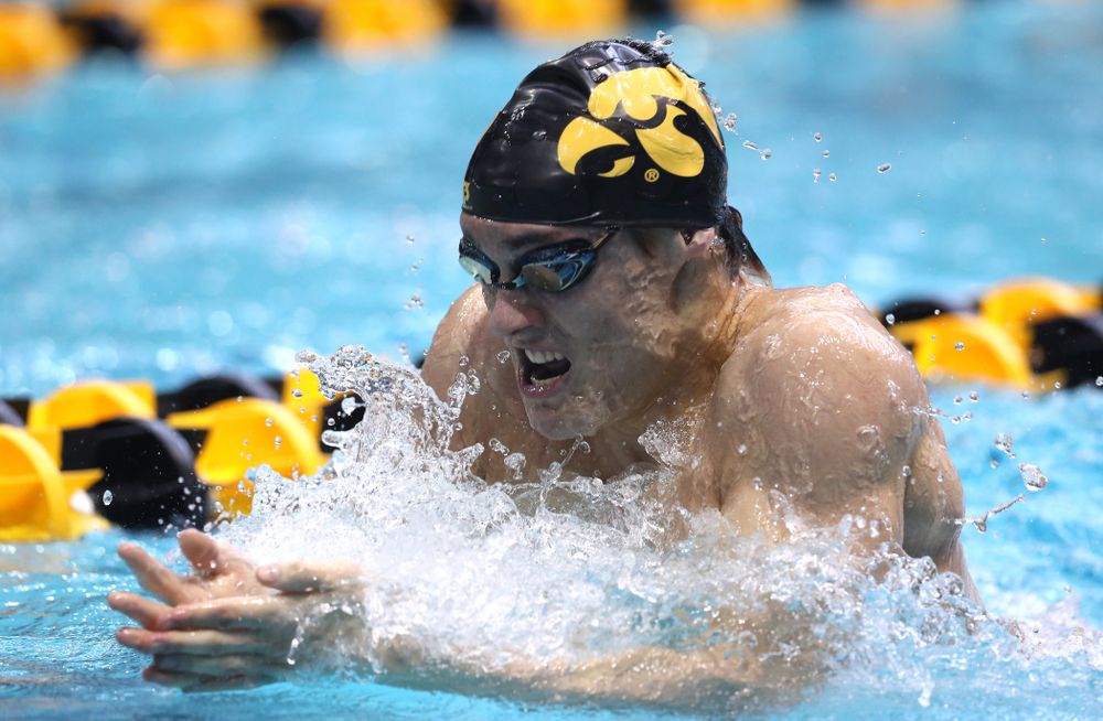 Iowa's Daniel Swanepoel competes in the 200-yard breaststroke during the 2019 Big Ten Men's Swimming and Diving Championships Saturday, March 2, 2019 at the Campus Wellness and Recreation Center. (Brian Ray/hawkeyesports.com)