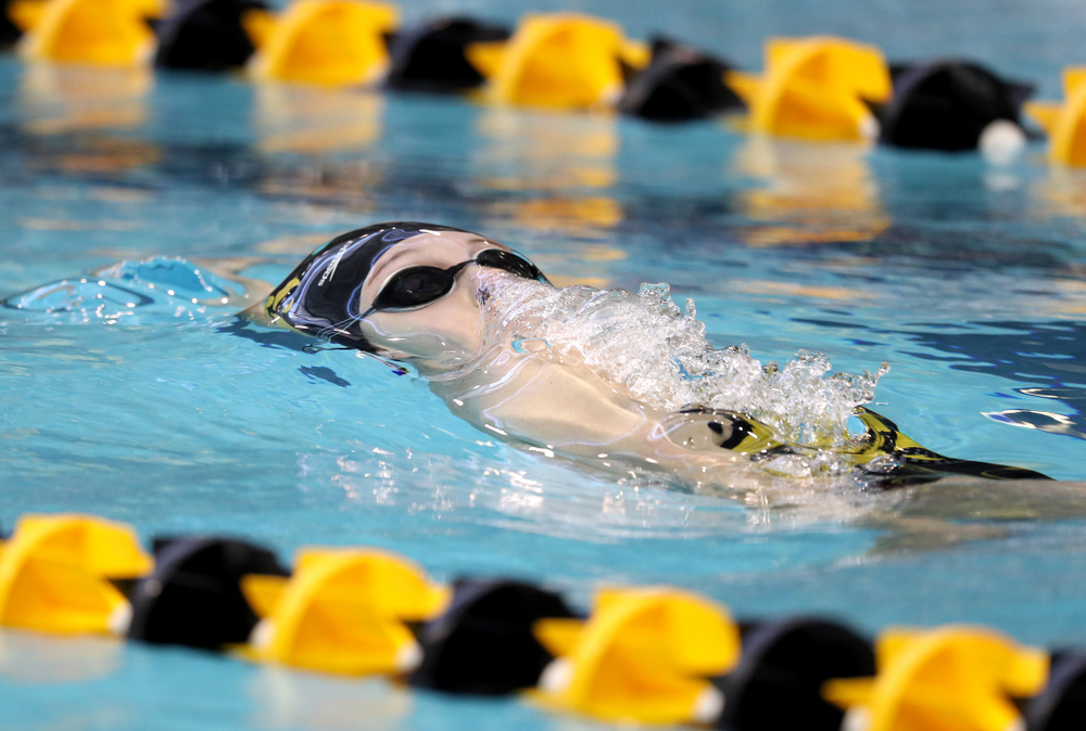 Iowa's Samantha Sauer swims the 100 yard backstroke during a double dual against Wisconsin and Northwestern Saturday, January 19, 2019 at the Campus Recreation and Wellness Center. (Brian Ray/hawkeyesports.com)