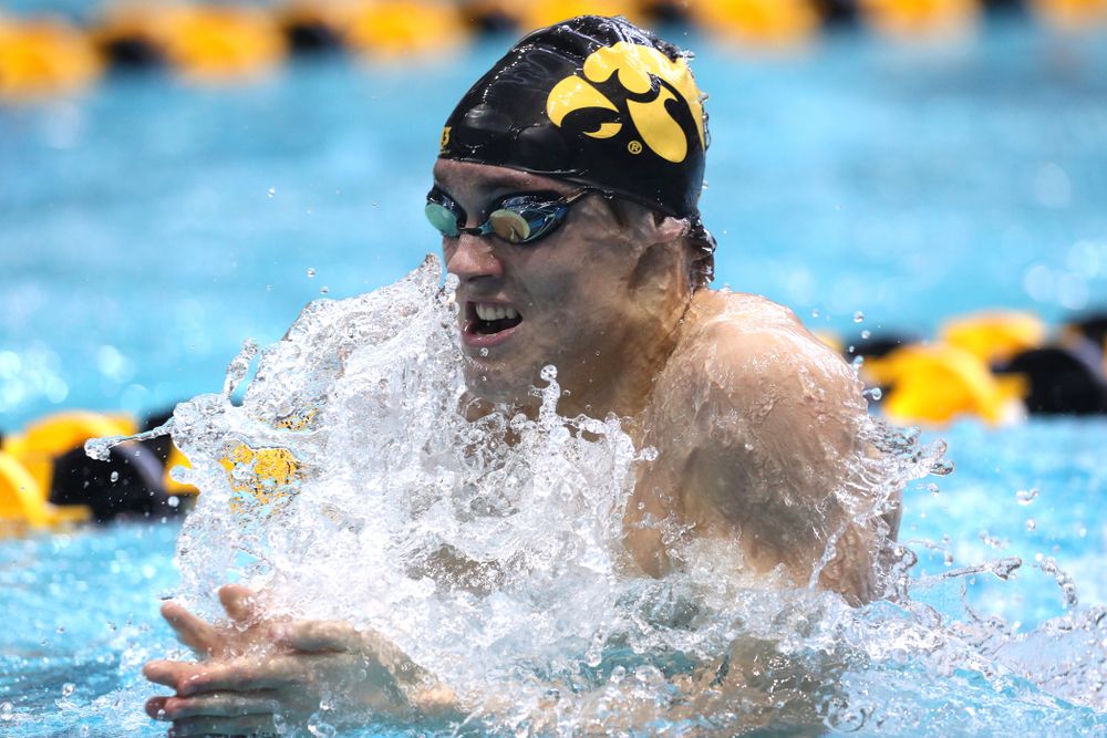 Iowa's Daniel Swanepoel competes in the 200-yard breaststroke during the 2019 Big Ten Men's Swimming and Diving Championships Saturday, March 2, 2019 at the Campus Wellness and Recreation Center. (Brian Ray/hawkeyesports.com)