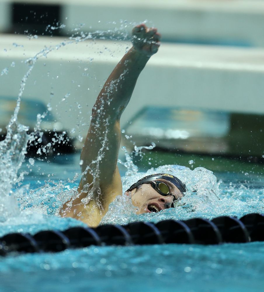 Iowa's Michael Tenney swims the 500 yard freestyle Thursday, November 15, 2018 during the 2018 Hawkeye Invitational at the Campus Recreation and Wellness Center. (Brian Ray/hawkeyesports.com)
