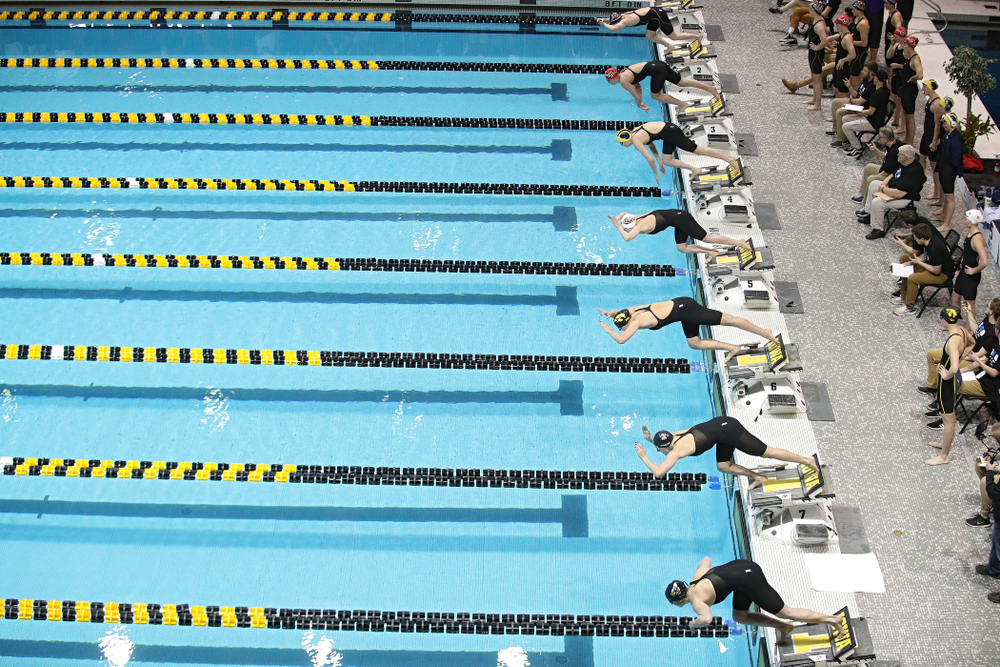 Iowa’s Hannah Burvill dives into the pool to start off the 800 yard freestyle relay event during the 2020 Big Ten Women’s Swimming and Diving Championships at the Campus Recreation and Wellness Center in Iowa City on Wednesday, February 19, 2020. (Stephen Mally/hawkeyesports.com)