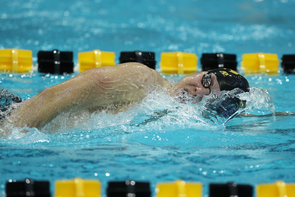 Iowa's Mateusz Arndt swims the 500 yard freestyle Thursday, November 15, 2018 during the 2018 Hawkeye Invitational at the Campus Recreation and Wellness Center. (Brian Ray/hawkeyesports.com)