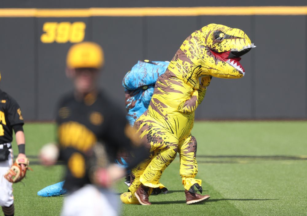 The Iowa Baseball T-Rex Race against California State Northridge Sunday, March 17, 2019 at Duane Banks Field. (Brian Ray/hawkeyesports.com)