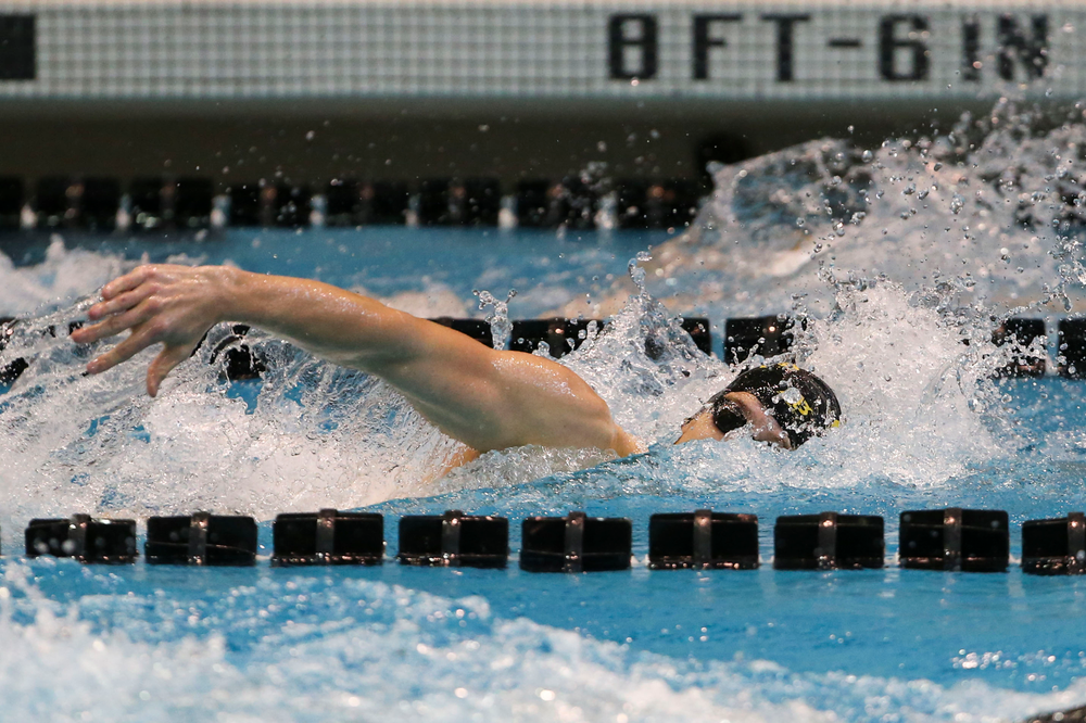 Iowa’s Jackson Allmon during Iowa swim and dive vs Minnesota on Saturday, October 26, 2019 at the Campus Wellness and Recreation Center. (Lily Smith/hawkeyesports.com)