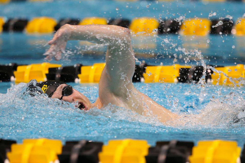 Iowa's B team at the 1,650-yard freestyle race Saturday, March 2, 2019 at the Campus Recreation and Wellness Center. (Lily Smith/hawkeyesports.com)