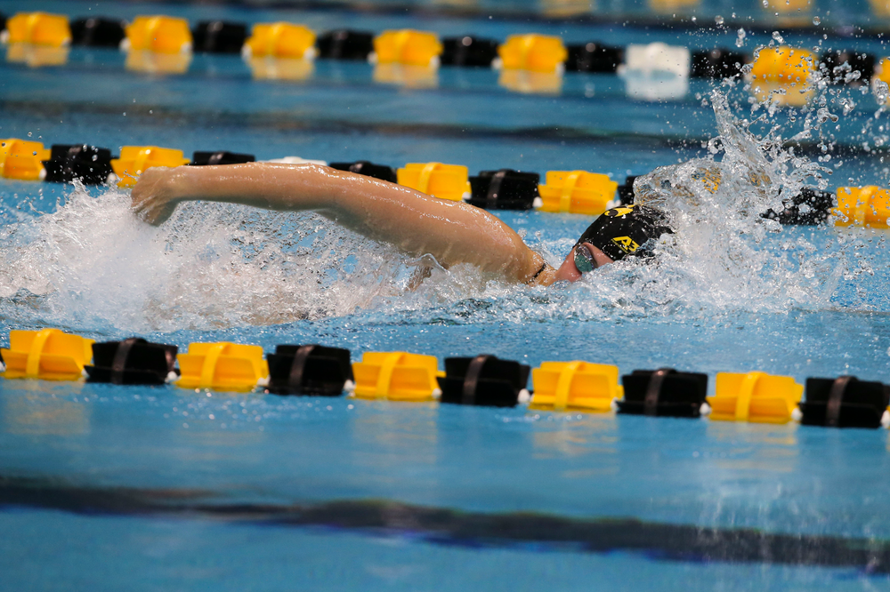 Iowa’s Payton Lange during Iowa swim and dive vs Minnesota on Saturday, October 26, 2019 at the Campus Wellness and Recreation Center. (Lily Smith/hawkeyesports.com)