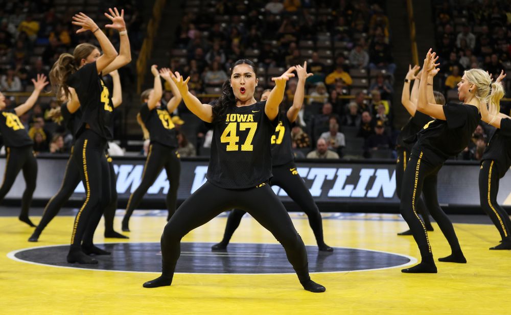 The Iowa Dance Team performs at the intermission of the Iowa Hawkeyes match against Purdue Saturday, November 24, 2018 at Carver-Hawkeye Arena. (Brian Ray/hawkeyesports.com)
