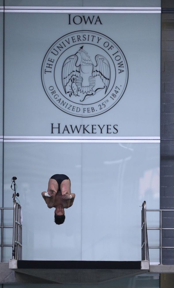 Iowa's Jonatan Posligua competes on the platform during the 2019 Big Ten Men's Swimming and Diving Championships Saturday, March 2, 2019 at the Campus Wellness and Recreation Center. (Brian Ray/hawkeyesports.com)