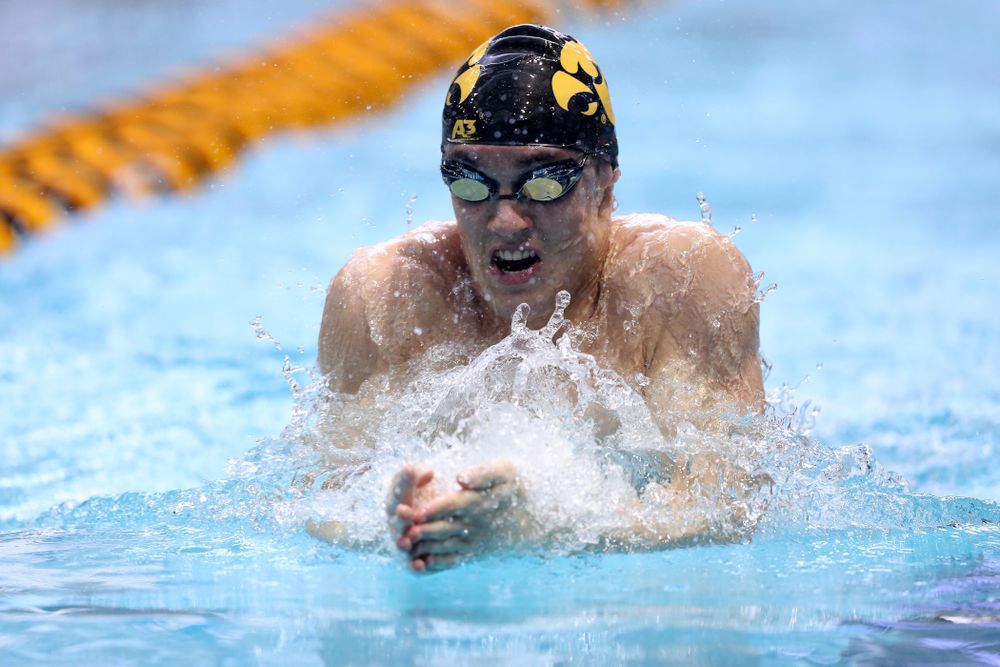 Iowa's Daniel Swanepoel competes in the 200-yard breaststroke during the 2019 Big Ten Men's Swimming and Diving Championships Saturday, March 2, 2019 at the Campus Wellness and Recreation Center. (Brian Ray/hawkeyesports.com)