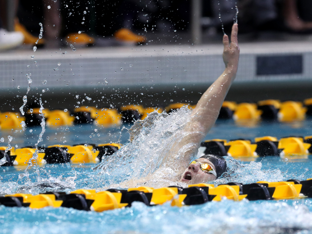 Iowa's Anze Fers Erzen competes in the 400-yard IM on the third day at the 2019 Big Ten Swimming and Diving Championships Thursday, February 28, 2019 at the Campus Wellness and Recreation Center. (Brian Ray/hawkeyesports.com)