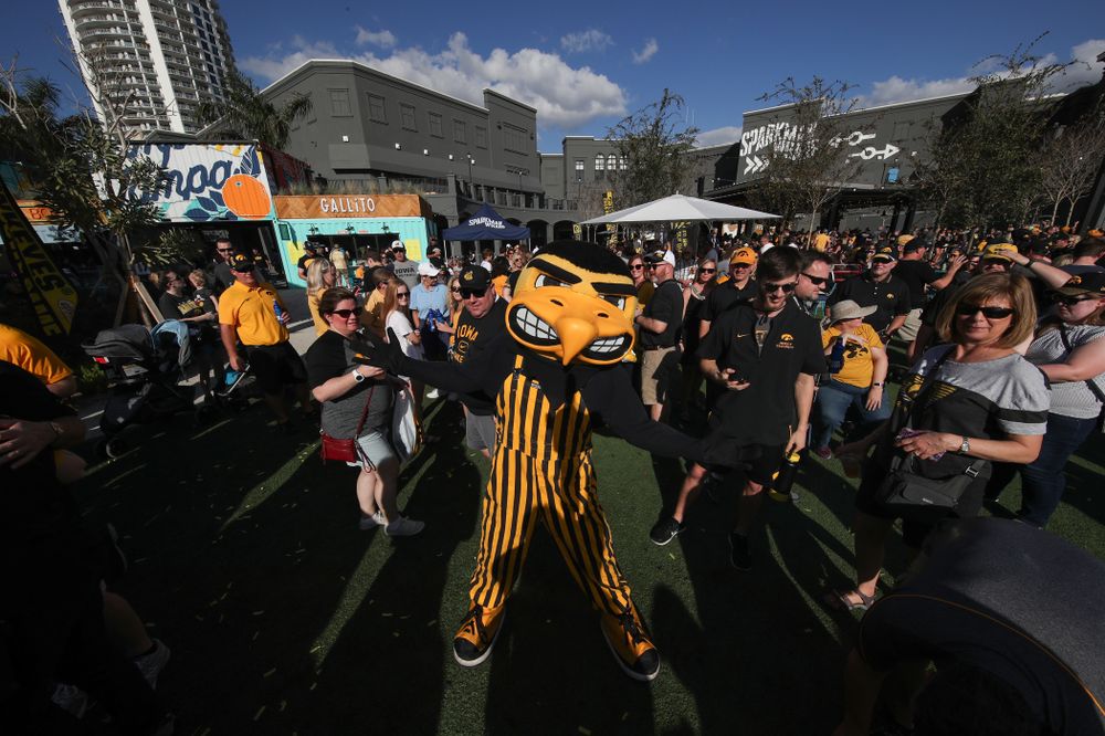 Herky The Hawk during their Hawkeye Huddle Monday, December 31, 2018 at Sparkman Wharf in Tampa, FL. (Brian Ray/hawkeyesports.com)